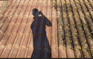 Photo de galerie - Couverture - Toiture