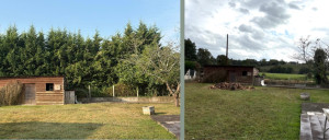 Photo de galerie - Abattage D’une Haie + Evacuation