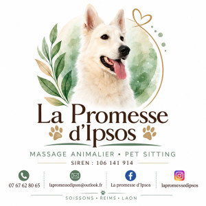 Photo de galerie - Garde et massage pour animaux 