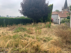 Photo de galerie - Tonte de pelouse - Débroussaillage