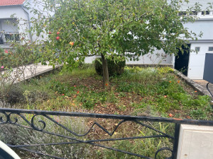 Photo de galerie - Avant