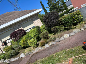 Photo de galerie - Taille de haies 