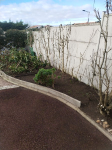 Photo de galerie - Taille d'arbustes. 