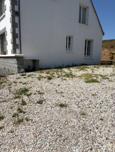 Photo de galerie - AVANT - Léger Désherbage  