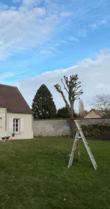 Photo de galerie - Élagage terminé