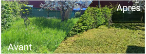 Photo de galerie - Débroussaillage et tonte d'un petit jardin