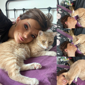 Photo de galerie - Garde chat