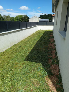 Photo de galerie - Herbe très haute