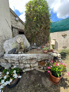 Photo de galerie - Belle taille de bambou avec un nettoyage de la fontaine 