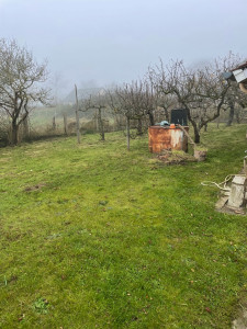 Photo de galerie - Débroussaillage d’un terrain ( après intervention )