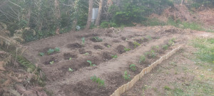 Photo de galerie - Jardinier