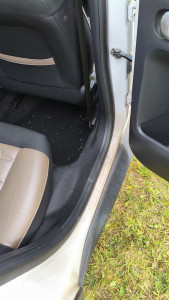 Photo de galerie - Intervention c4 cactus 