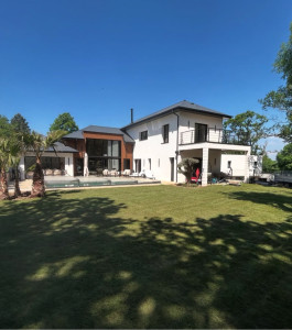 Photo de galerie - Pose d’un gazon en rouleau et création massif avec Palmier et Olivier 