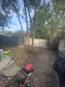 Photo de galerie - Paysagiste - Aménagement du jardin