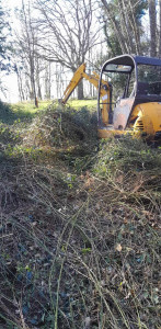 Photo de galerie - Tonte de pelouse - Débroussaillage