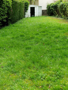 Photo de galerie - Avant 