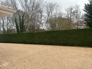 Photo de galerie - Jardinier