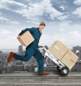 Photo de galerie - 24/24