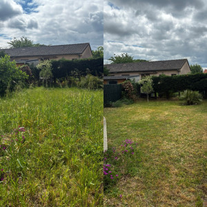 Photo de galerie - Remises en forme d’un petit jardin