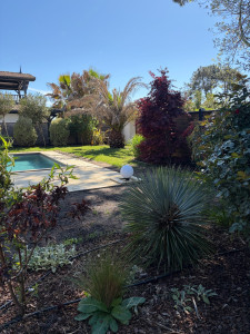 Photo de galerie - Entretien jardin, taille haie, tonte pelouse. 