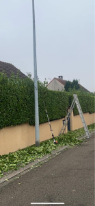 Photo de galerie - Taille de haie 