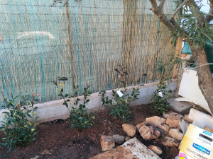 Photo de galerie - Paysagiste - Aménagement du jardin