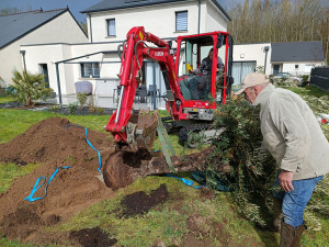 Photo de galerie - Plantation Olivier 