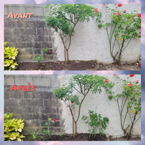 Photo de galerie - Plantation embellissements 