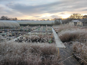 Photo de galerie - La pépinière un matin d'hiver