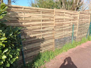 Photo de galerie - Remplacement de brise vue après la tempête