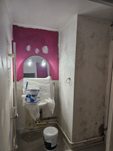 Photo de galerie - Traitemant moisissure