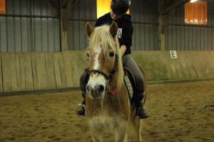 Photo de galerie - Je fais de l’équitation depuis mon enfance. 