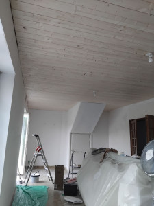 Photo de galerie - Plâtrerie - Murs - Plafonds