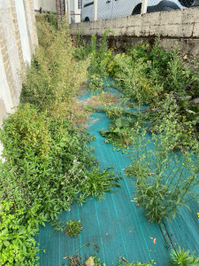 Photo de galerie - Jardinier