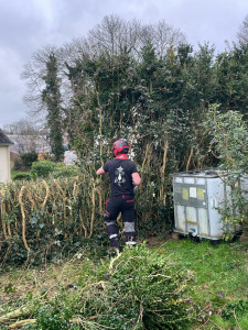 Photo de galerie - Rabattage d’une haie