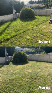 Photo de galerie - Tonte  de jardin