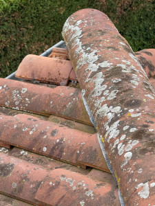 Photo de galerie - Démoussage 