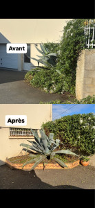 Photo de galerie - Avant/Après