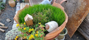 Photo de galerie - Paysagiste - Aménagement du jardin