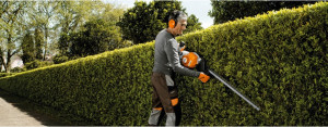 Photo de galerie - Taille de haie