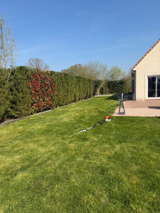 Photo de galerie - Taille de haie