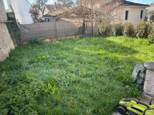 Photo de galerie - Avant la tonte