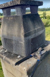 Photo de galerie - Pose protection oiseaux 