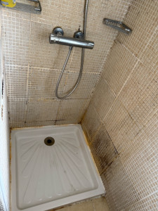 Photo de galerie - Ménage