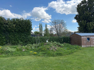 Photo de galerie - Taille de haies et d'arbustes