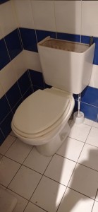 Photo de galerie - Remplacement d'un wc