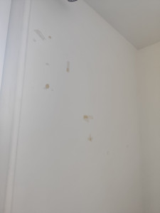 Photo de galerie - De l'enduit et peinture 