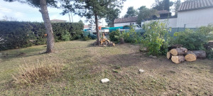 Photo de galerie - Elagage et coupe d'arbres