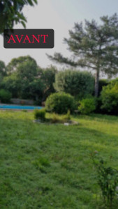 Photo de galerie - Paysagiste - Aménagement du jardin