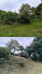 Photo de galerie - Nettoyage d'un talus 